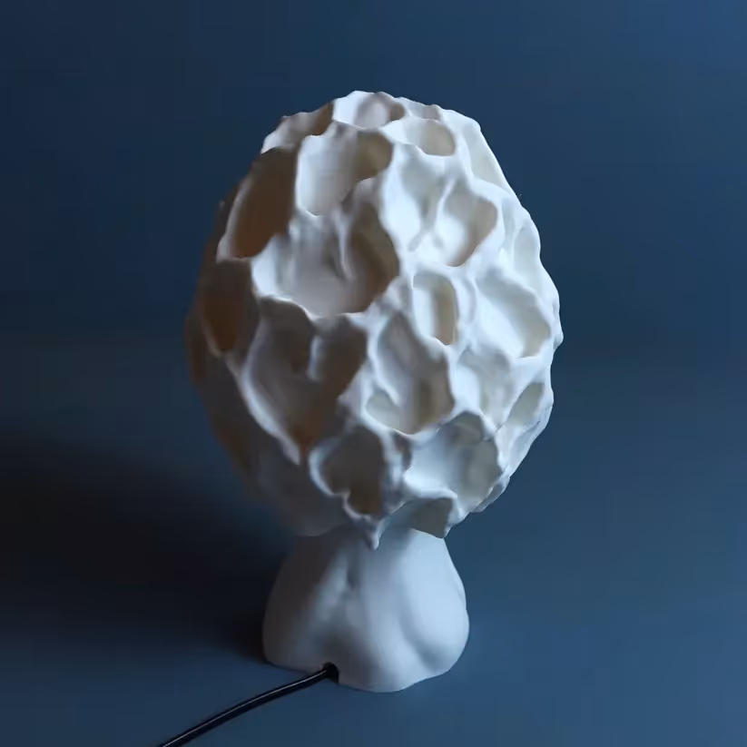 Unit 01 Labs Esculenta Fungus Lamp - photo 1 of 4