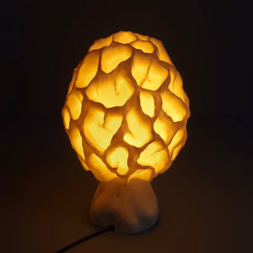 Unit 01 Labs Esculenta Fungus Lamp - photo 2 of 4