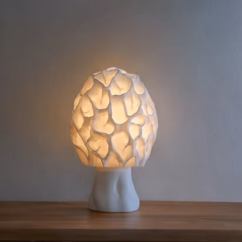 Unit 01 Labs Esculenta Fungus Lamp - photo 4 of 4