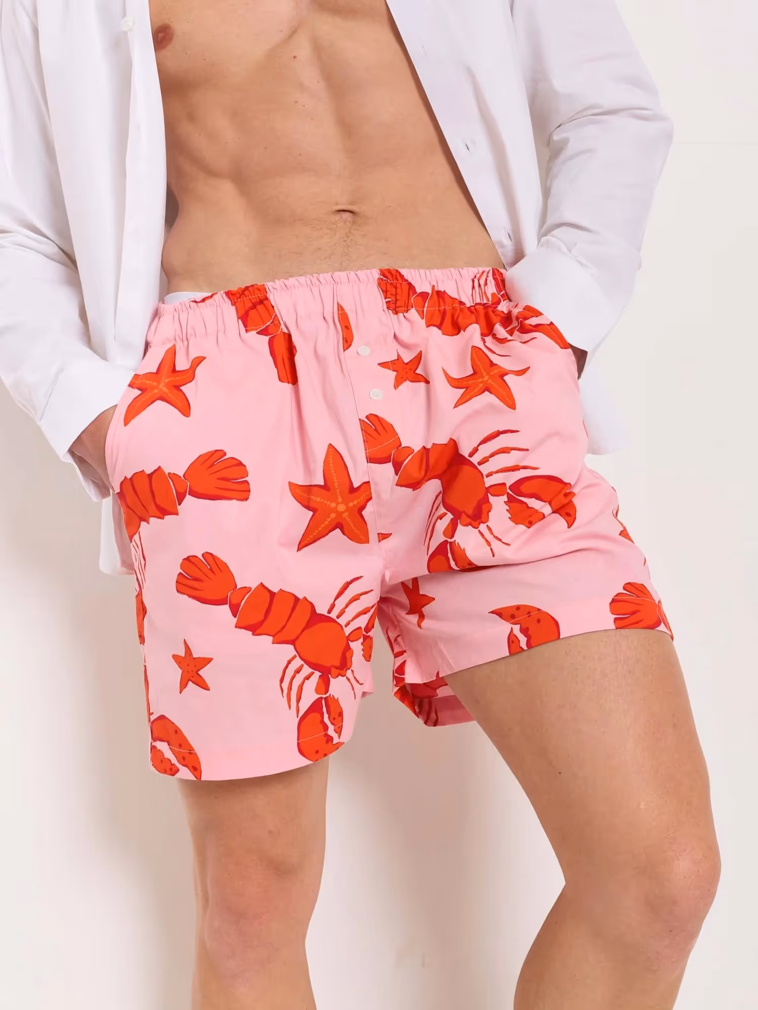 Lobster Printed Poplin Shorts image 6