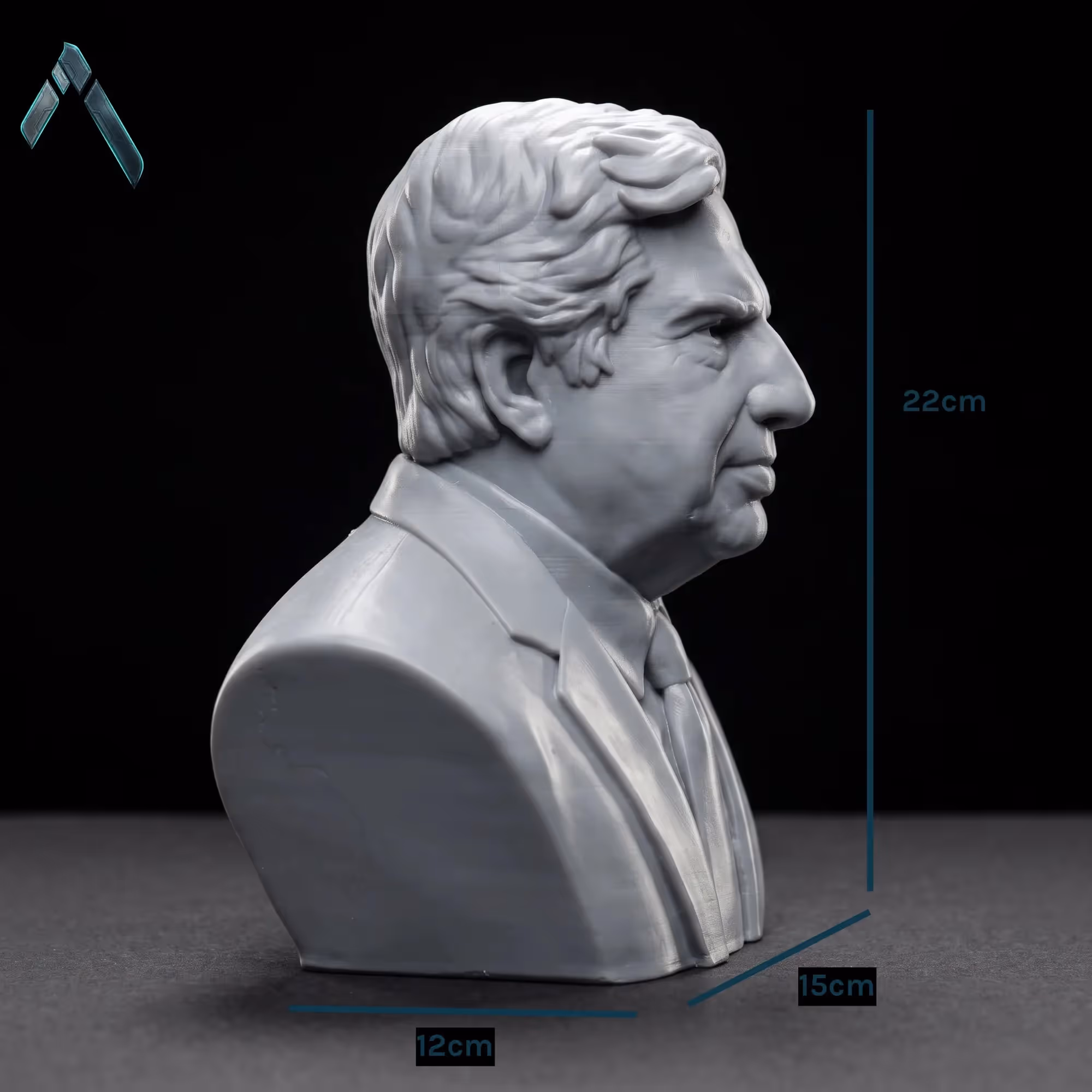 Ratan Tata Bust Sculpture image 3