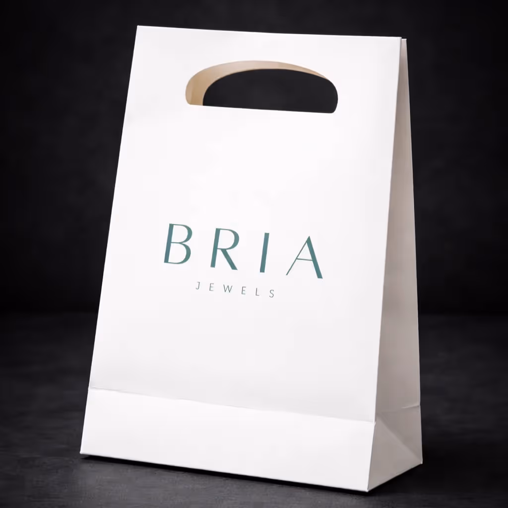 Bria Gift Bag image 1