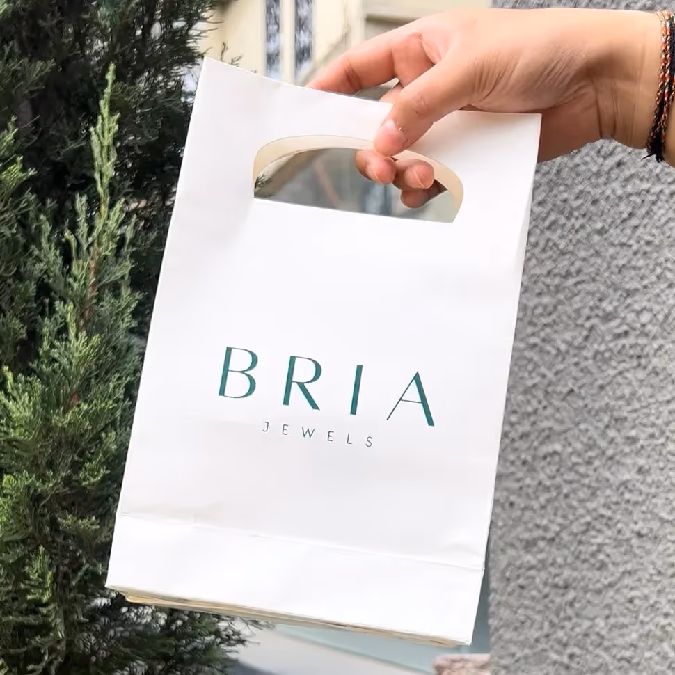 Bria Gift Bag image 3