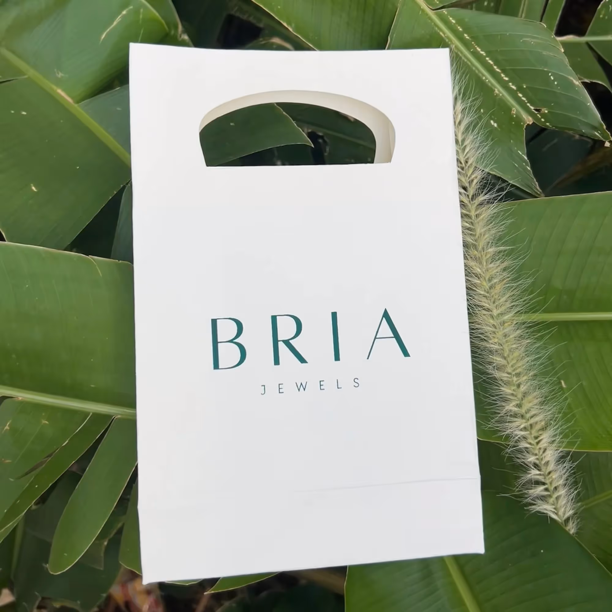 Bria Gift Bag image 4