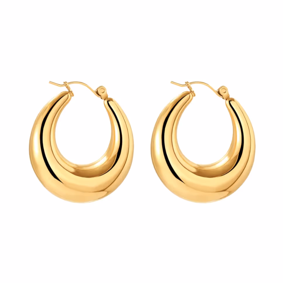 Celine Hoops image 1