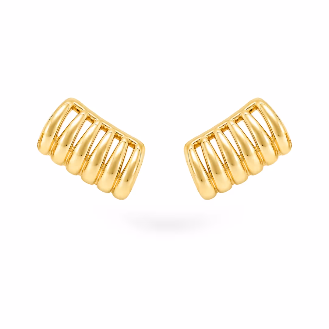 Climber Earrings  image 1