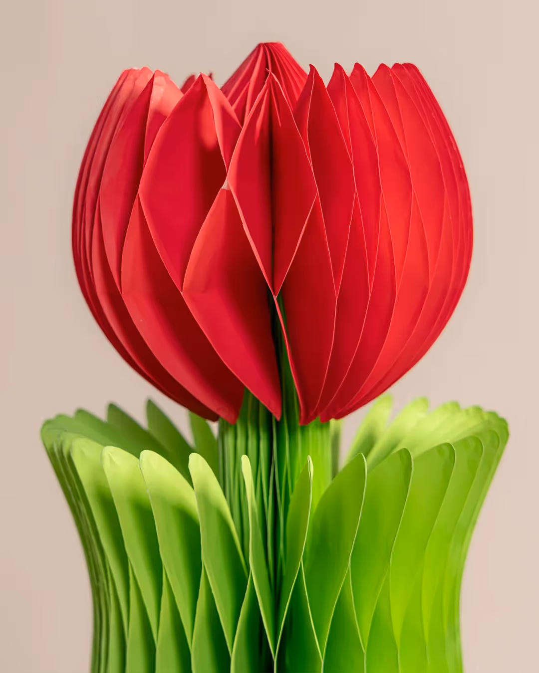 Alba Honeycomb Flower Poppy image 3