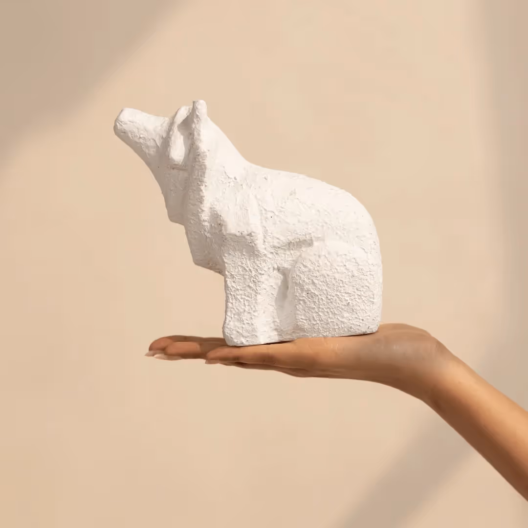 Hippoceros image 3