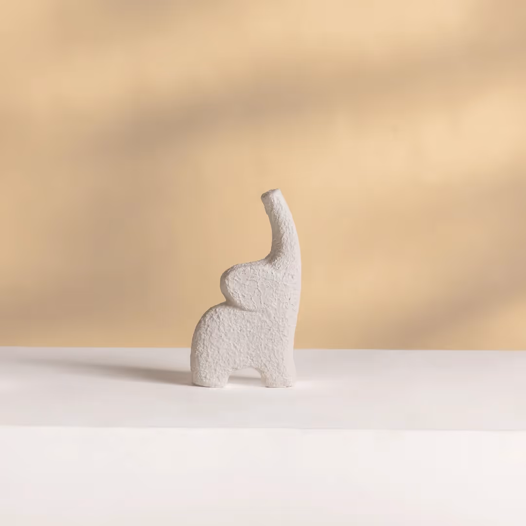 Mini Jumbo White image 1
