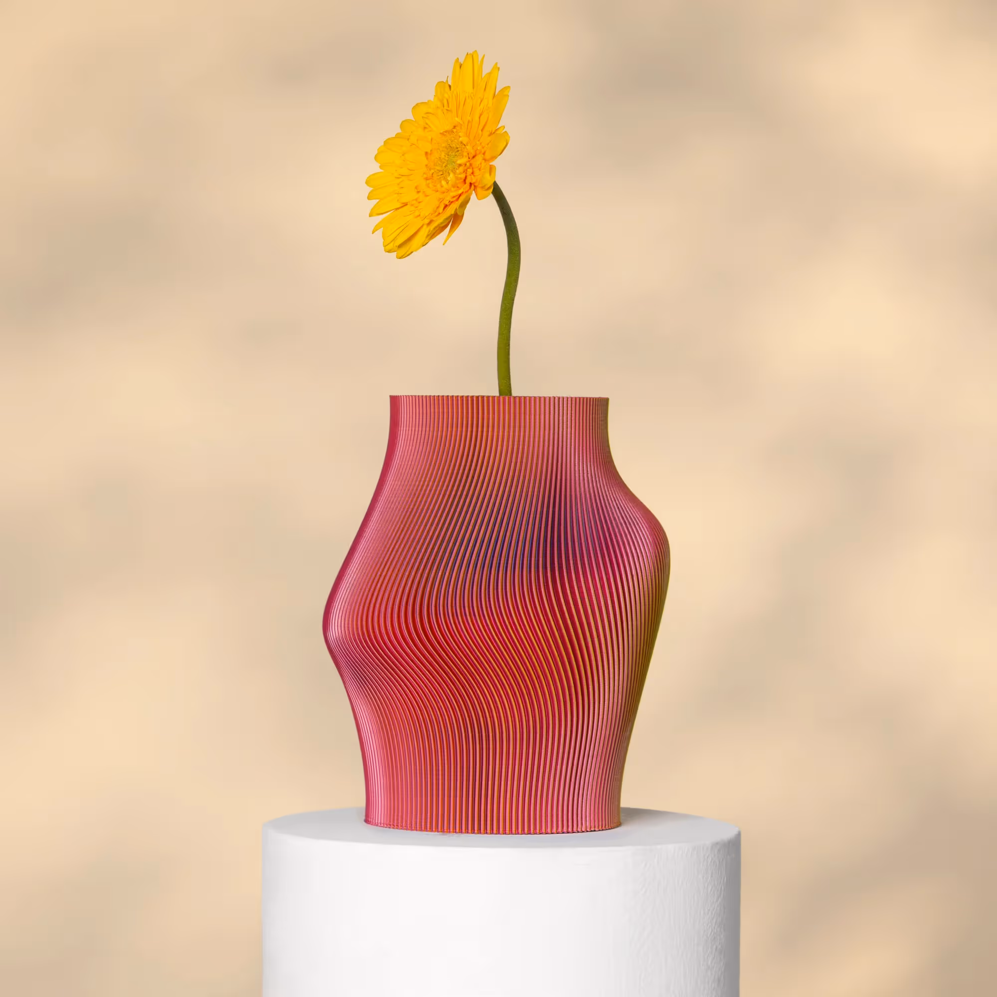 Muse Vase RY image 2