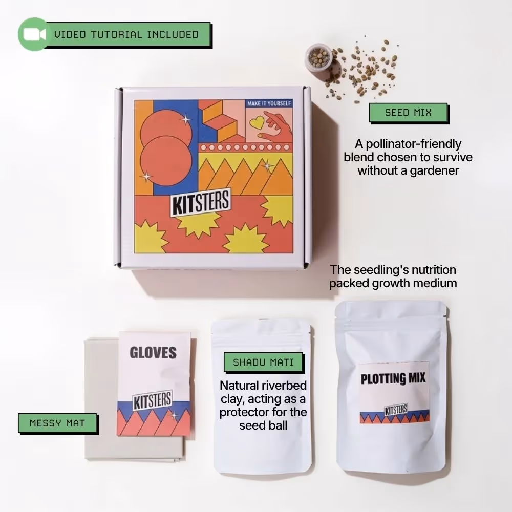 DIY Magic Seed Bomb Kit  image 2