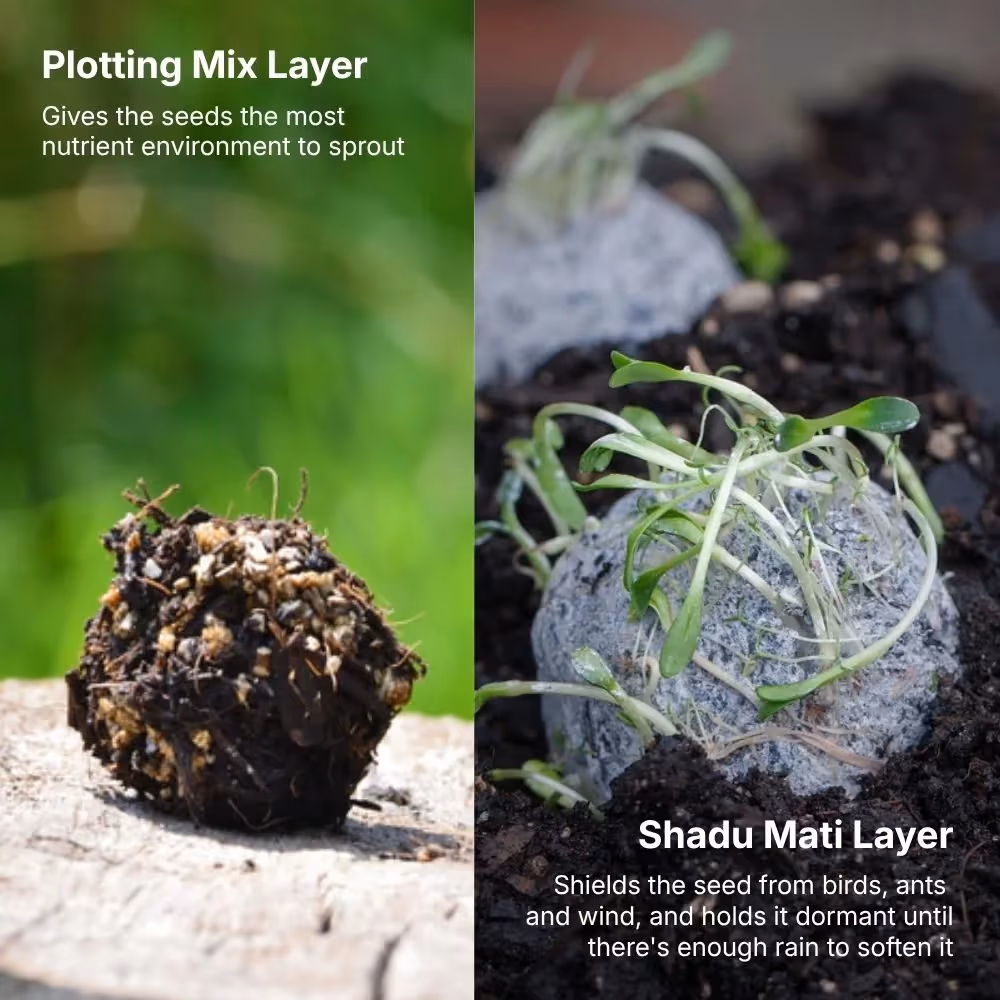 DIY Magic Seed Bomb Kit  image 3