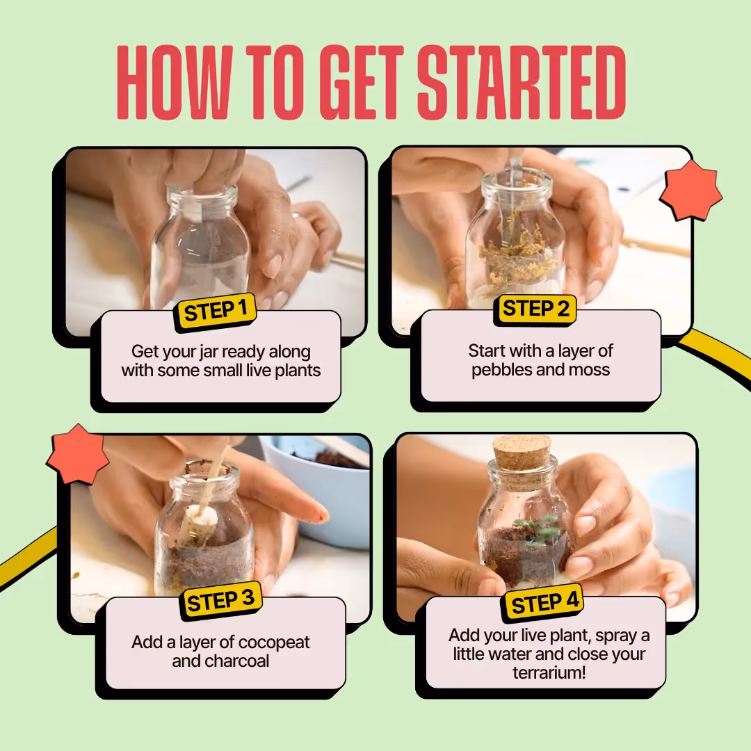 DIY Mini Terrarium and Japanese Kokedama Kit Combo image 4