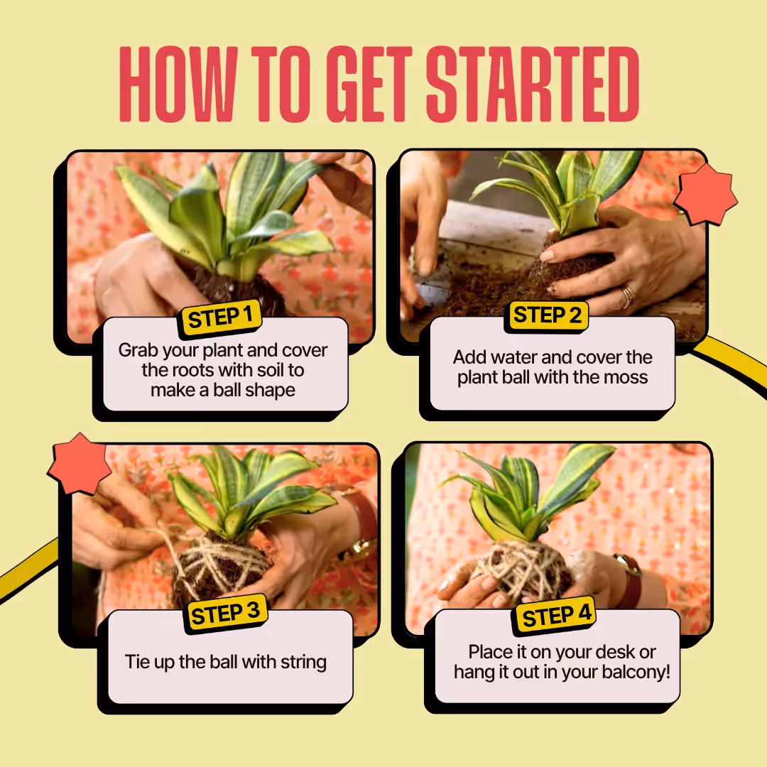 DIY Mini Terrarium and Japanese Kokedama Kit Combo image 8