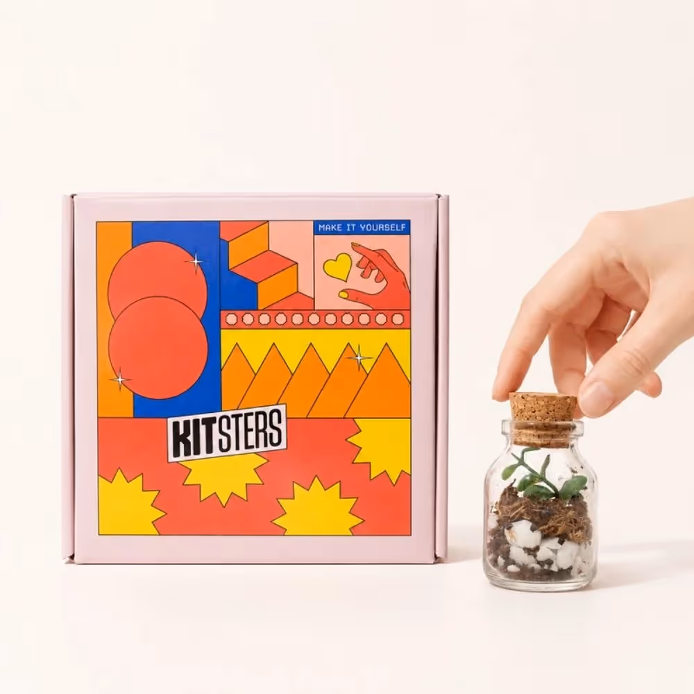DIY Mini Terrarium Kit  image 1