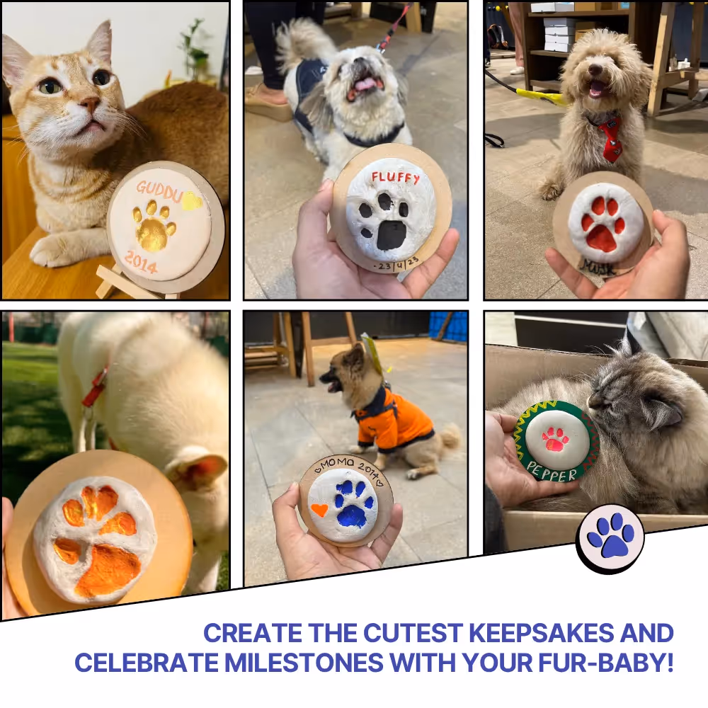 DIY Paw Printing Kit  image 5