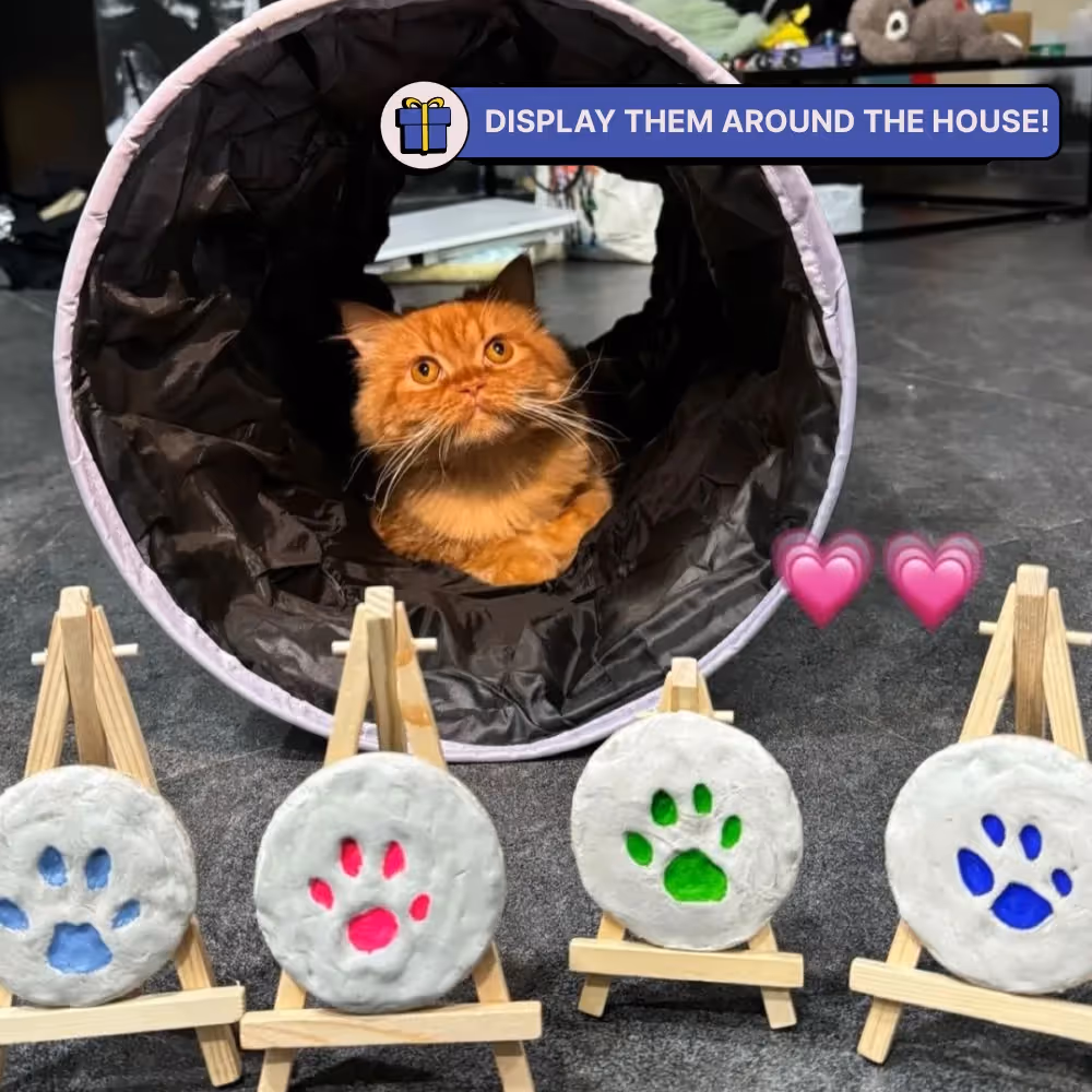 DIY Paw Printing Kit  image 8