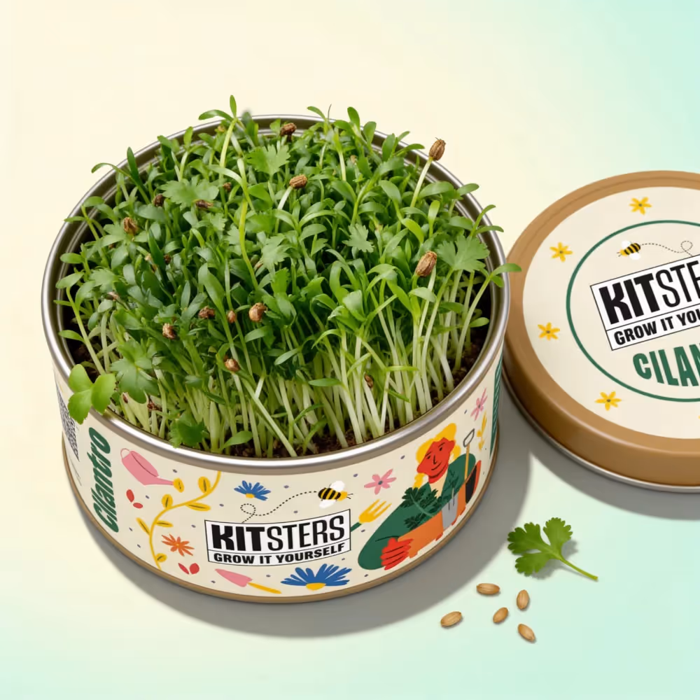 Grow In A Can - Cilantro  image 1