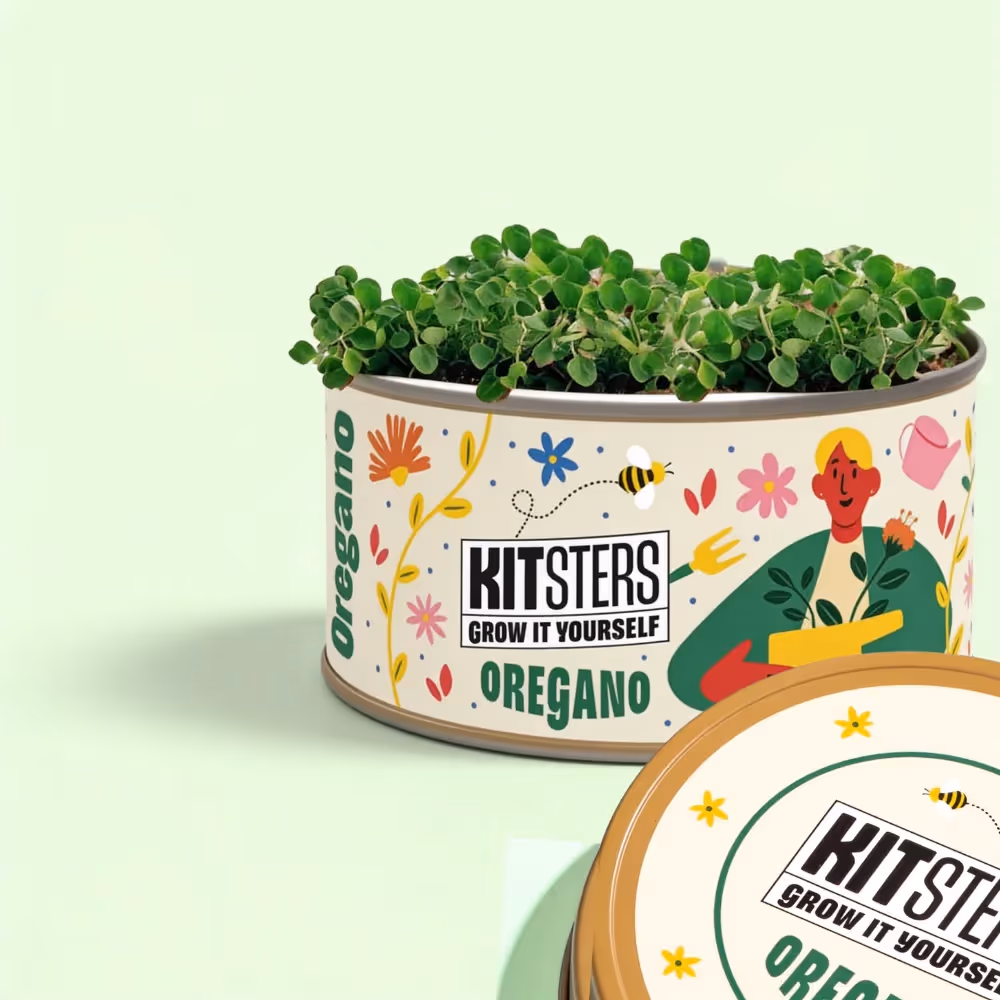 Grow In A Can Oregano  image 1