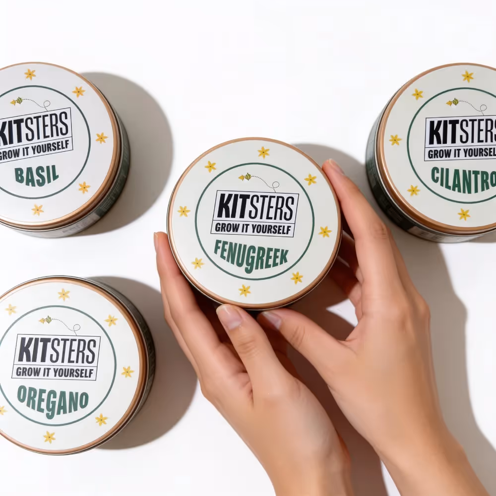 Grow In A Can Oregano image 7