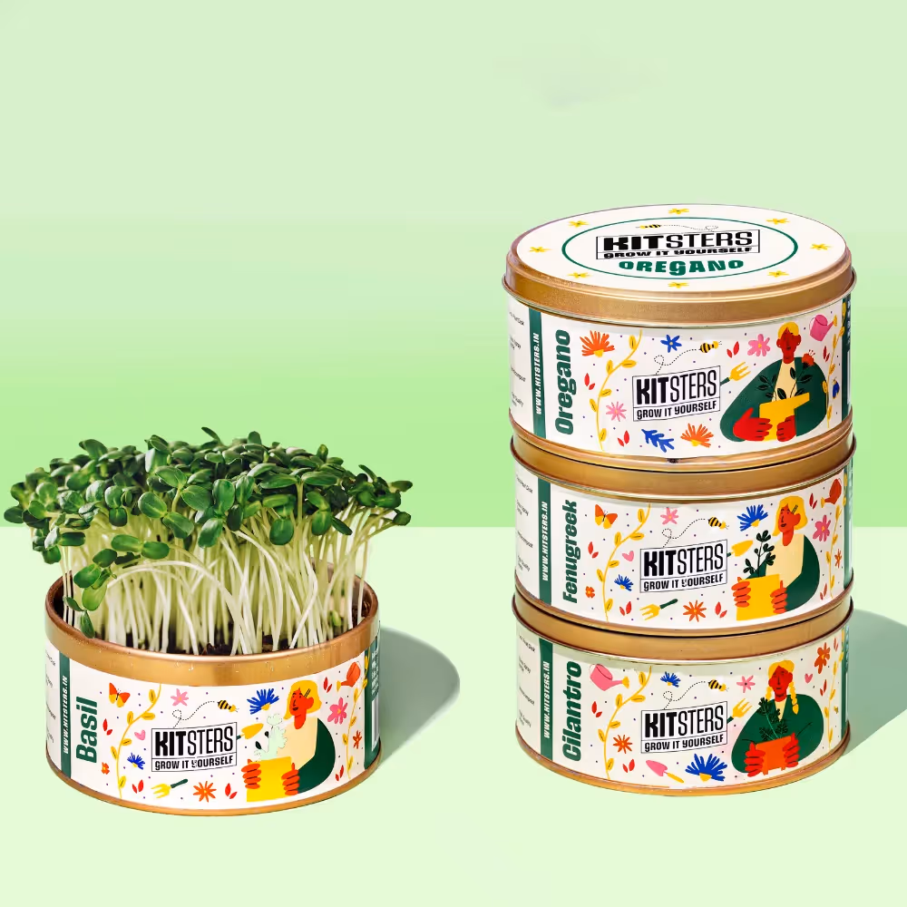 Grow In A Can - Pack of 4  image 1