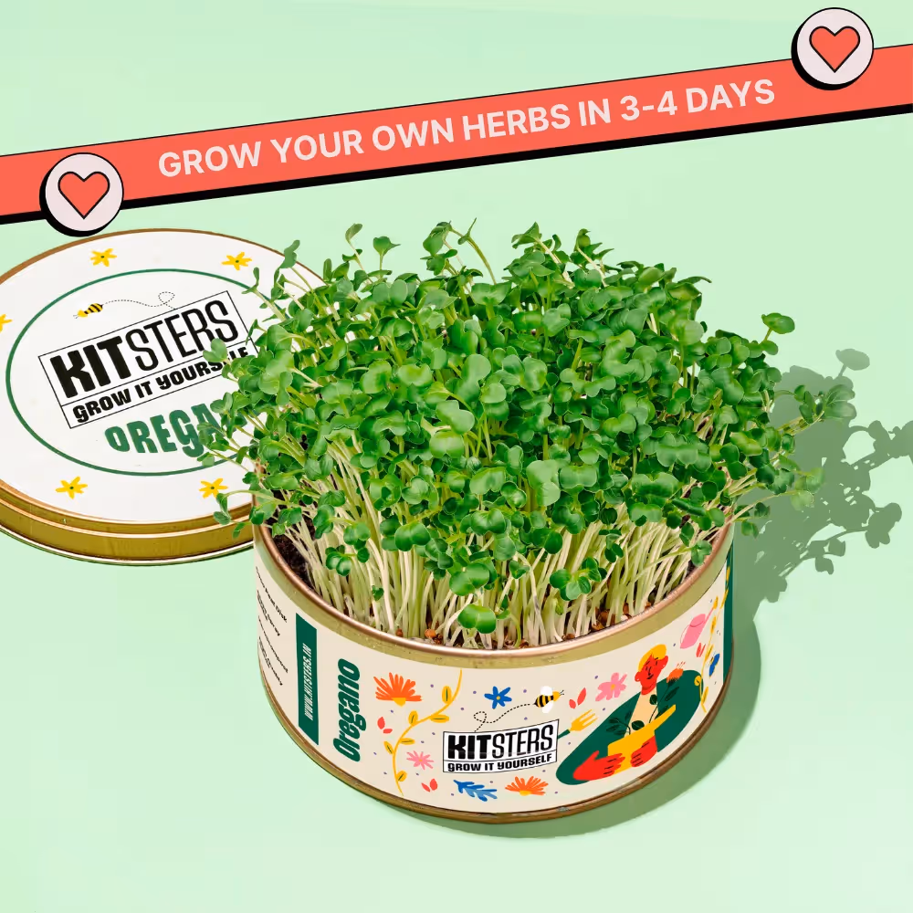 Grow In A Can - Pack of 4 image 3