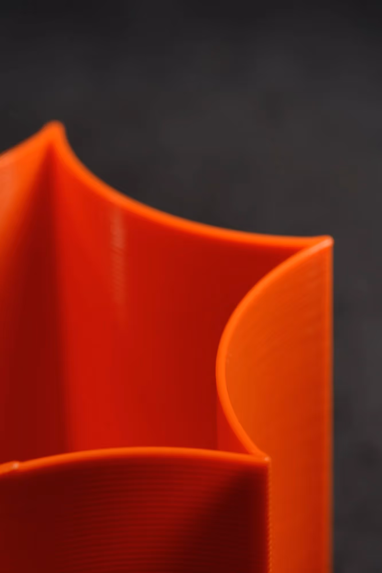 Star Coral Pot and Cube image 14