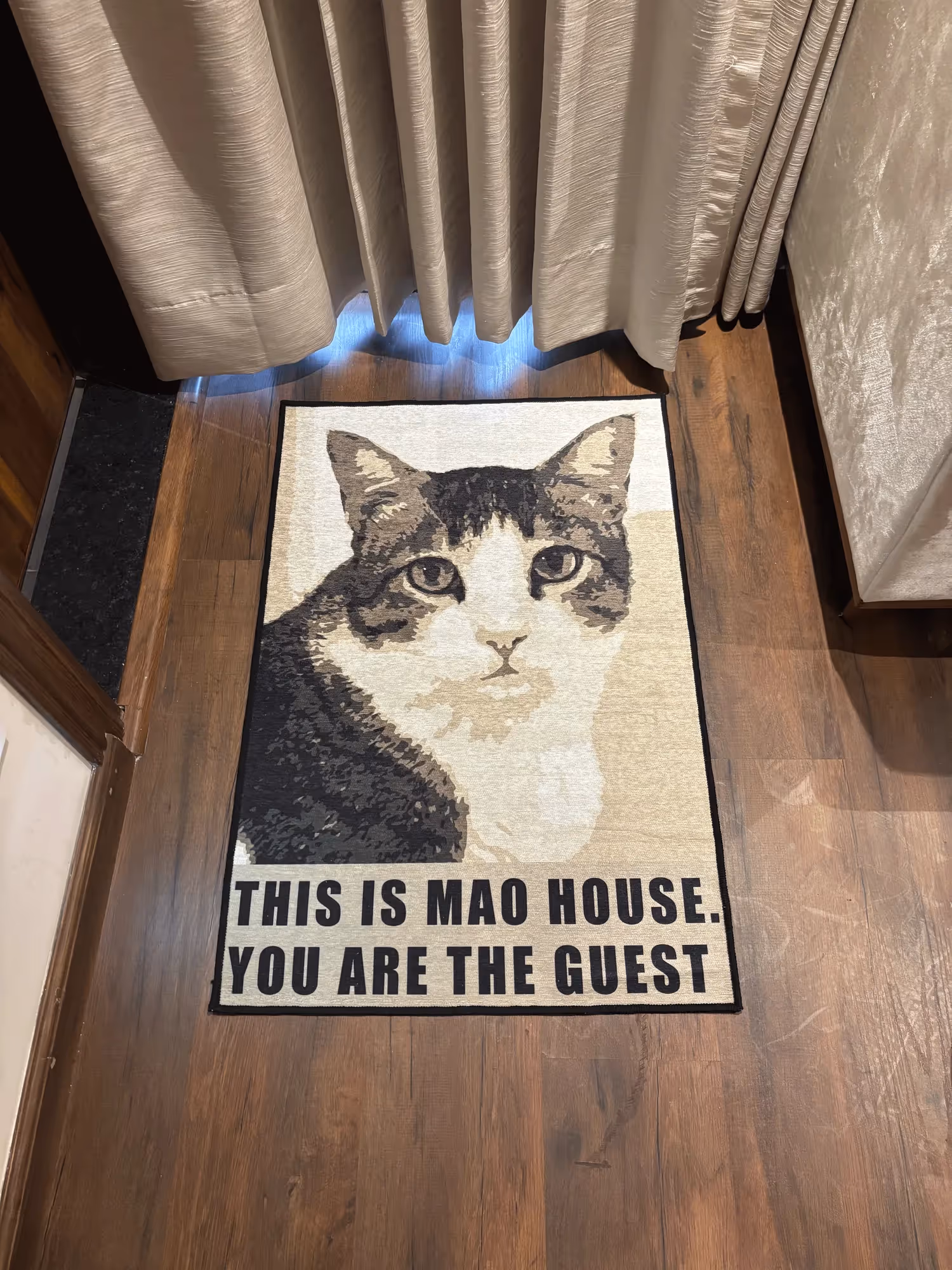 Cat Welcome Door Washable Rug image 1