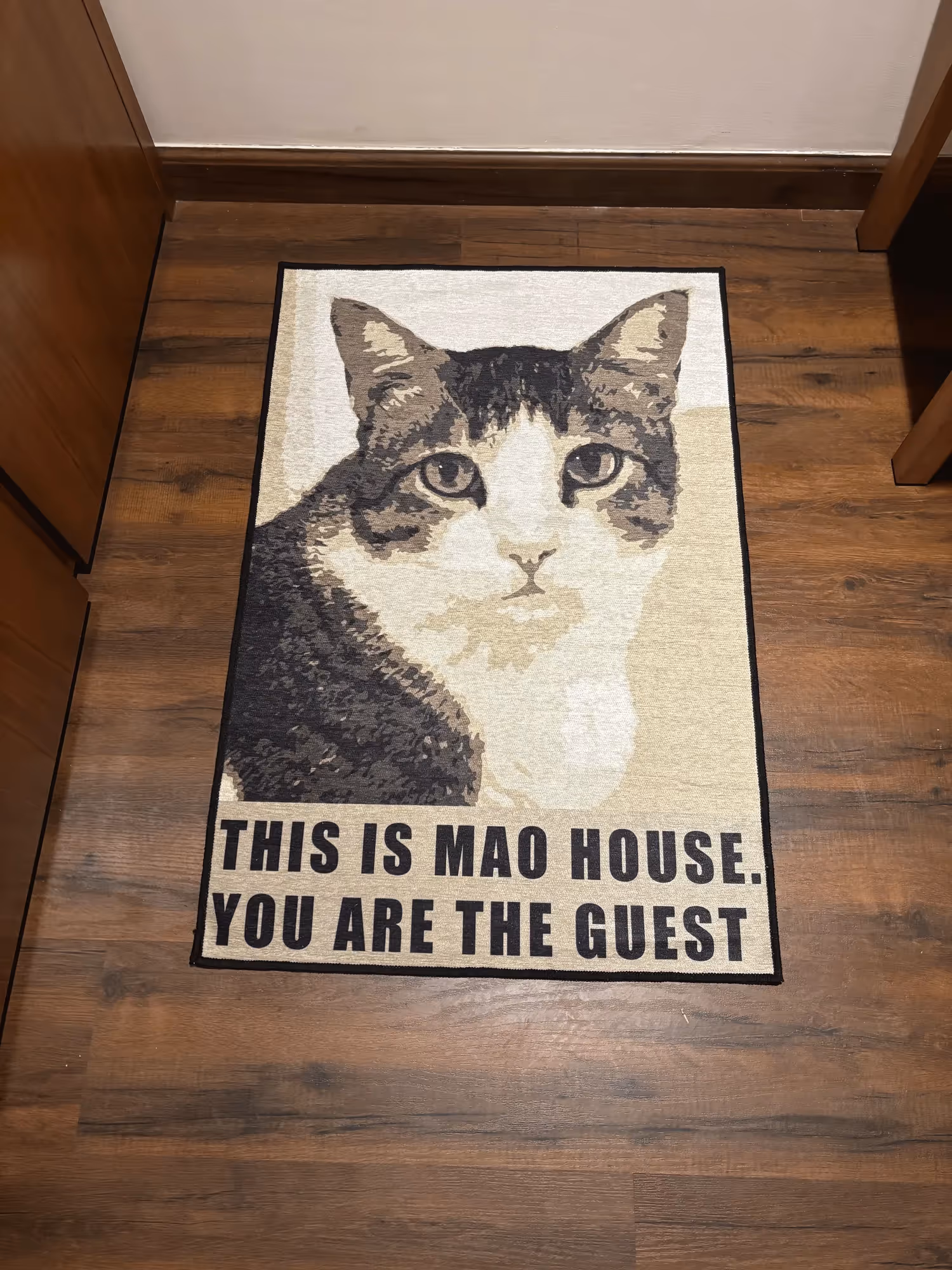 Cat Welcome Door Washable Rug image 2