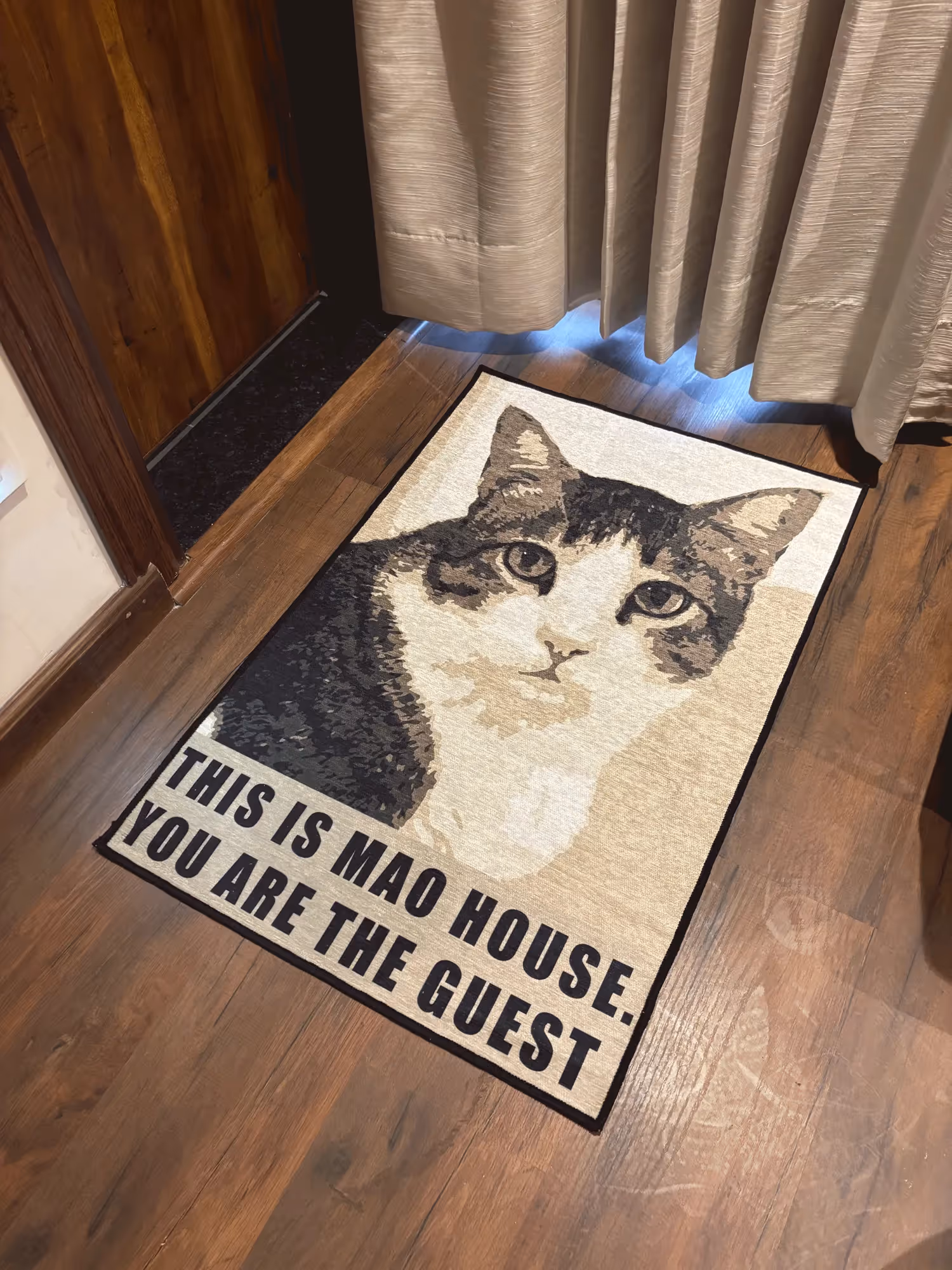 Cat Welcome Door Washable Rug image 3
