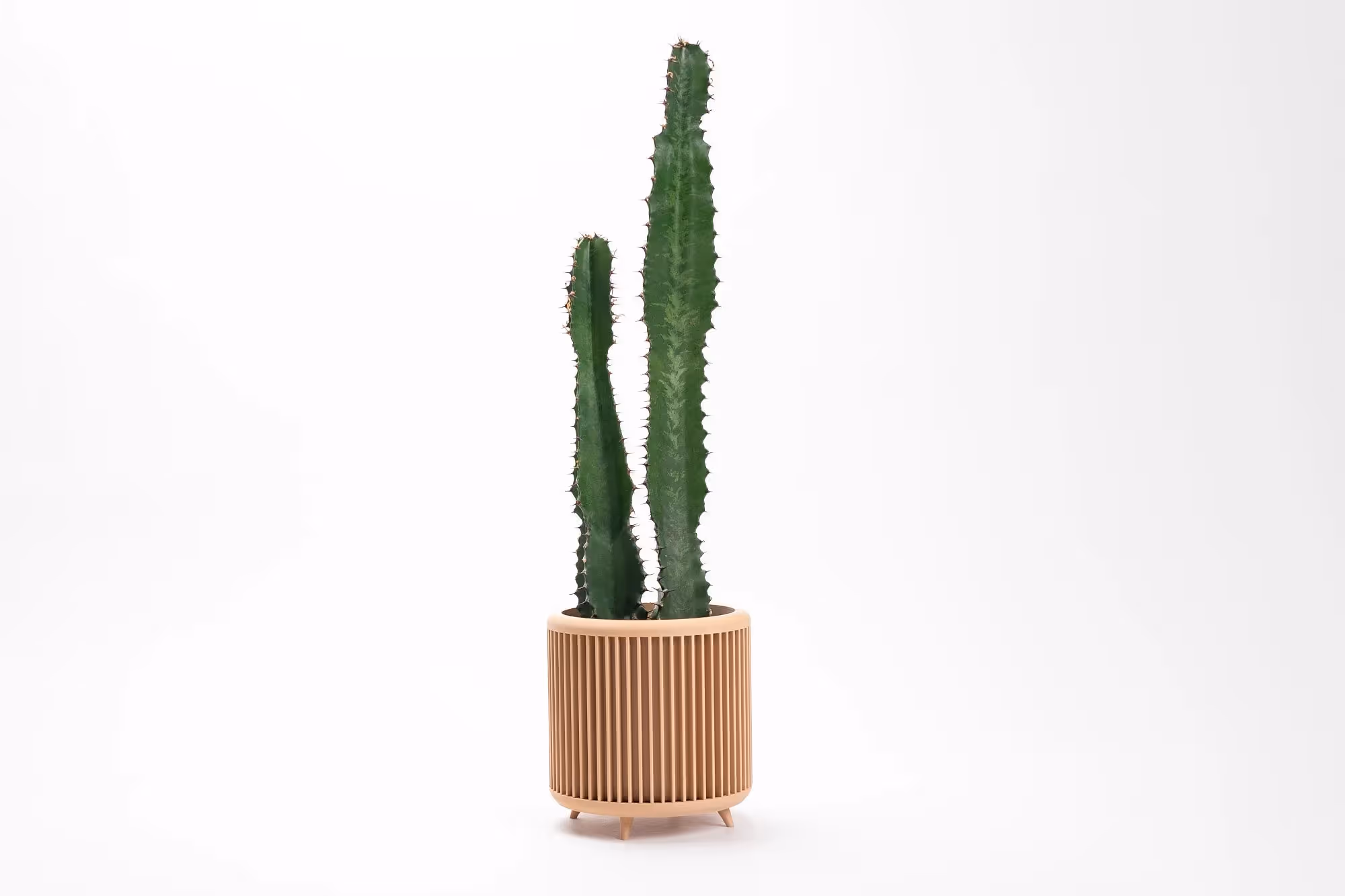 Planter With Legs image 1