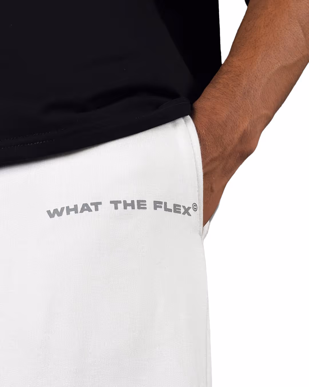 Barbed White Essential Cotton Pants image 5