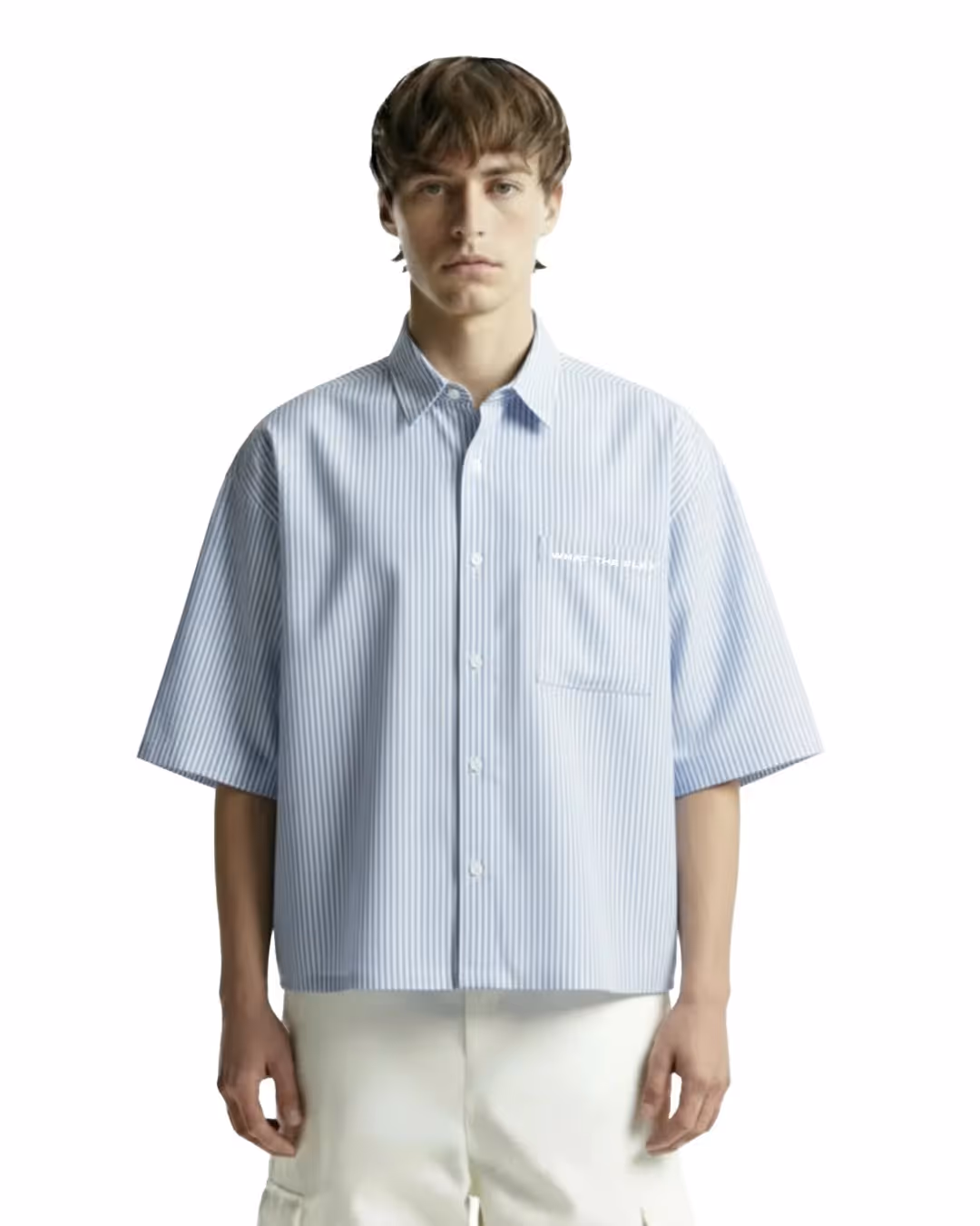 Big Plans Blue and White Half Sleeves Striped Shirt image 3