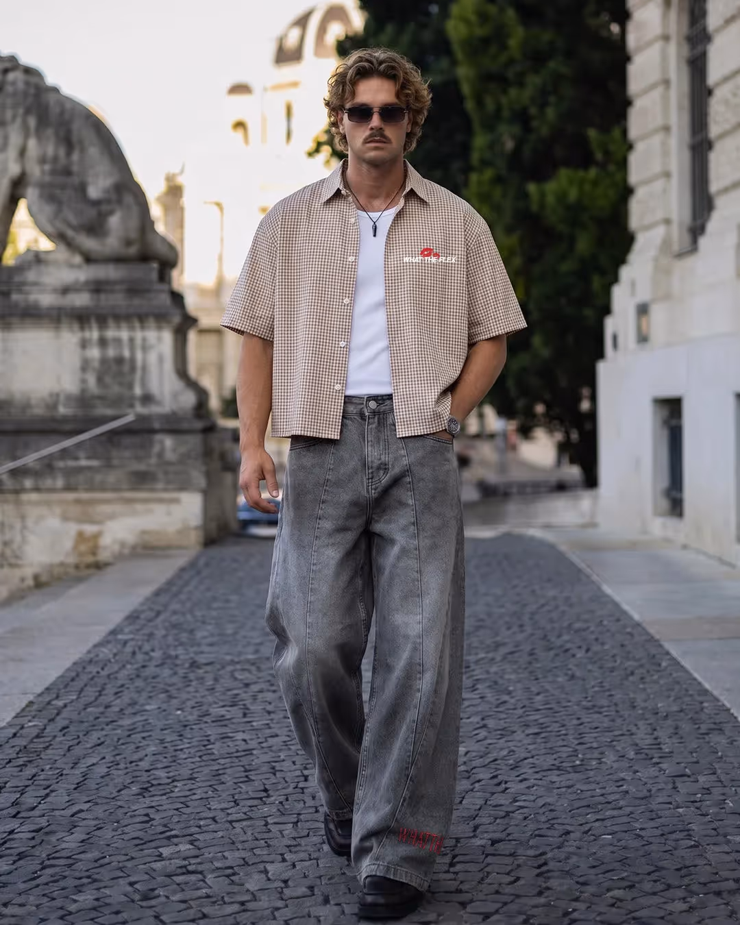 Home Half Sleeves Checks Shirt  image 7
