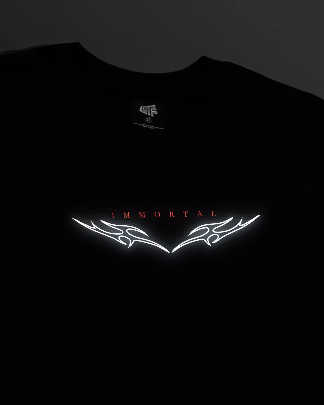 Immortal Reflective Heavyweight T-shirt image 8