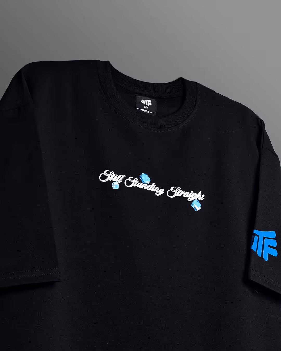 Sapphire Boxy-Fit T-Shirt image 8
